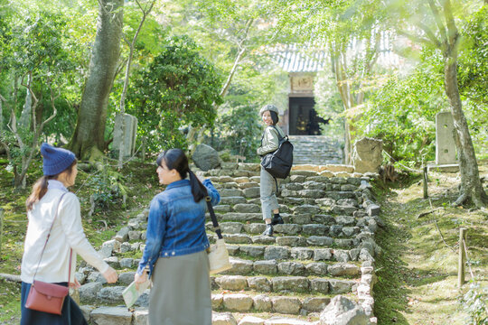 参道を歩く3人の女性
