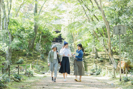 参道を歩く3人の女性