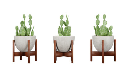 Set of cactus plants in pots isolated, stone vase, interior and exterior decoration, 3d render illustration.