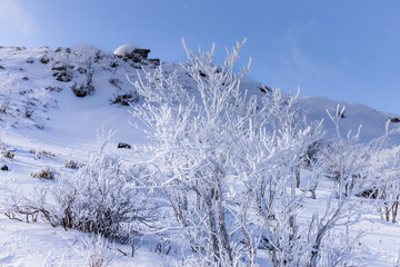 厳冬の霧ケ峰高原スノーハイク