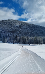 Fototapeta premium Ski de Fond dans la plaine d'Herbouilly dans le Vercors Drômois