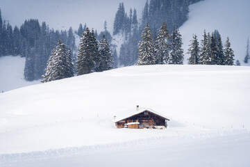 Fototapeta na wymiar Chalet seul au milieu d'un paysage enneigé dans les Préalpes Suisse