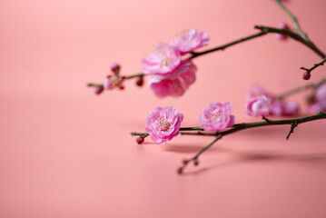 Obraz premium 紅梅