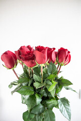 Bouquet of red roses with water drops