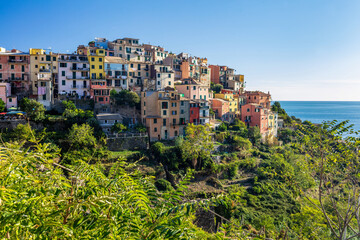 Fototapeta na wymiar Corniglia in Cinque Terre, Italy with vineyards and terraces