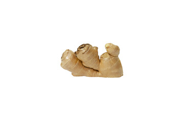 ginger 2, isolated on white background