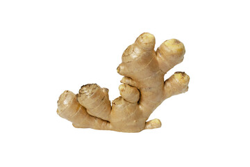 ginger 1, isolated on white background