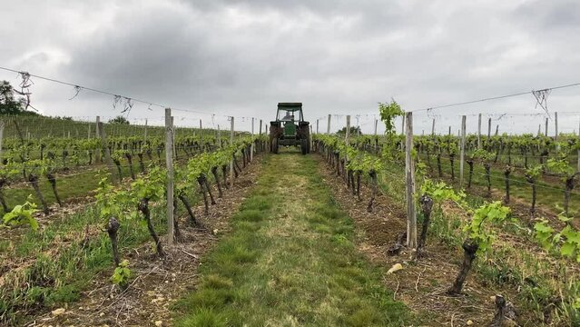 farmer rides a tractor on trail in vineyard