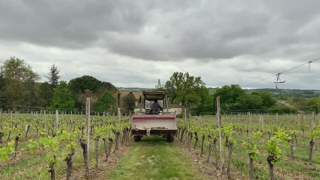 farmer rides a tractor on trail in vineyard