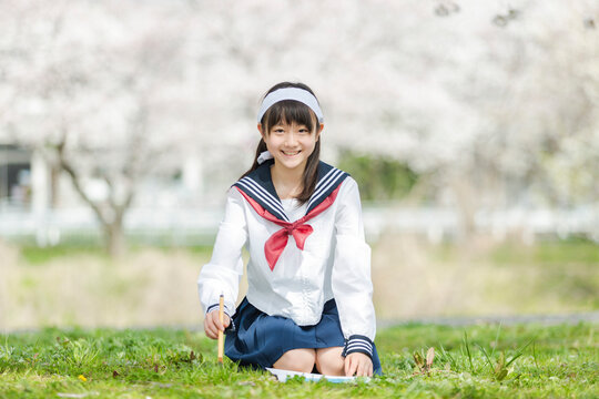 桜の樹の下で書道する女子校生