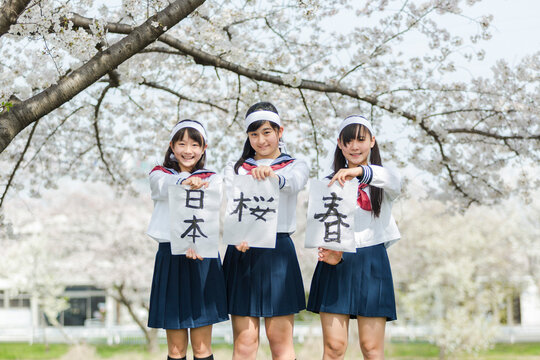 桜の樹の下で書道する女子校生