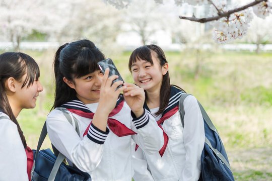 桜の写真を撮る女子校生