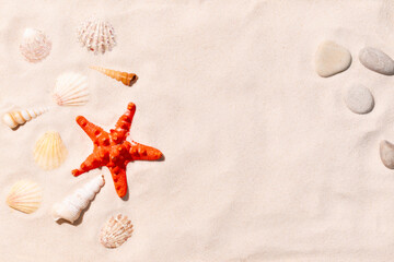 Fototapeta na wymiar Sandy beach with seashells background