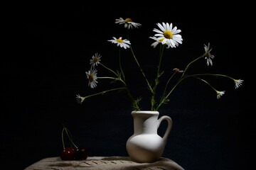 Still life of flowers - summer blooming chamomile on a dark background