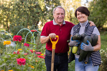 Cheerful old couple standing in garden holding shovel and zuchinnis