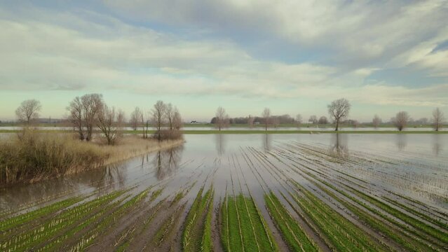AERIAL VIEW WS Flooded polder area / Noord-Brabant, Netherlands