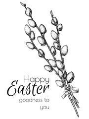 Vector illustration of a card for Easter. Branches of flowering willow © Viktoriia Holovko