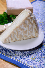 Piece of french soft-ripened white mold cow milk cheese brie produced in Seine-et-Marne region, France