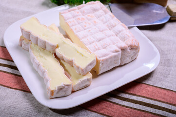 French cheeses collection, yellow Vieux Pane cheese with white mold