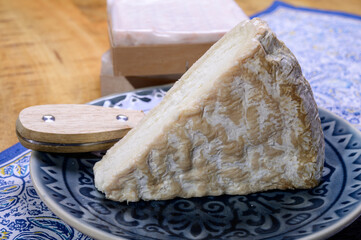 Piece of french soft-ripened white mold cow milk cheese brie produced in Seine-et-Marne region, France