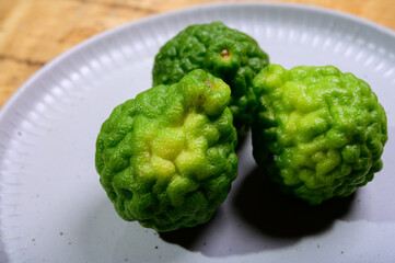 Citrus hystrix, kaffir lime or makrut lime, citrus fruit native to tropical Southeast Asia. Fruit and leaves used in Southeast Asian cuisine, essential oil is used in perfumery 