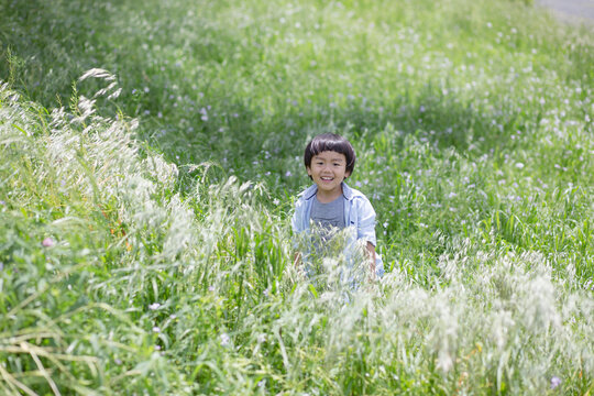 草むらに立つ男の子