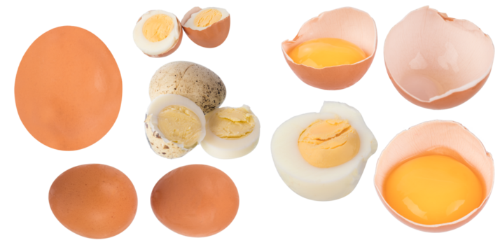set of boiled and raw eggs isolated. egg in shell