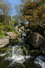 London - 04 11 2022: Kyoto Garden waterfalls in Holland park