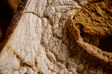 Fototapeta na wymiar Close up of dried porcini mushrooms. Food and wooden background. Rustic style.