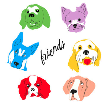 Portraits of various Dogs. Cute adorable puppies. Different breeds. Cartoon style, abstract colors. Best friends, animal care concept. Hand drawn Vector illustration. Every head is isolated