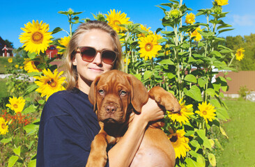 A woman holds a thoroughbred puppy of the Borodsky dog in her arms. Little french mastiff puppy.