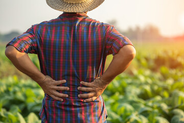 Injuries or Illnesses, that can happen to farmers while working. Man is using his hand to cover...