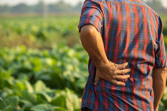 Injuries or Illnesses, that can happen to farmers while working. Man is using his hand to cover over waist because of hurt,  pain or feeling ill.