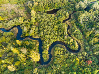 Aerial view of meandering river Aa in forest, Starkriet, Someren-Eind, Noord-Brabant, Netherlands.