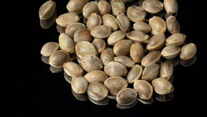 Heap of hemp cannabis seeds on a mirror black background. Selective focus. .