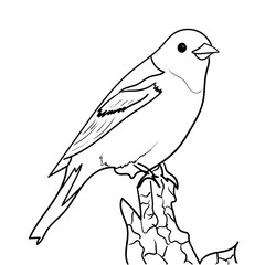 Outline image of a bird for coloring and decoration material