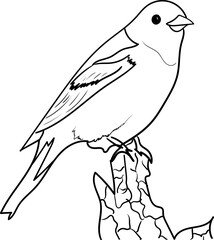 Outline image of a bird for coloring and decoration material