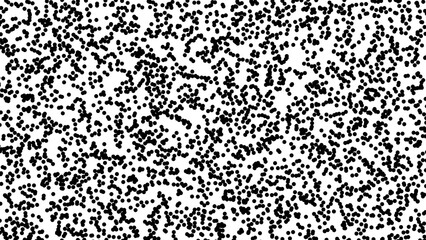 Black circles on a white background. Background in 4k format 3840 х 2160.