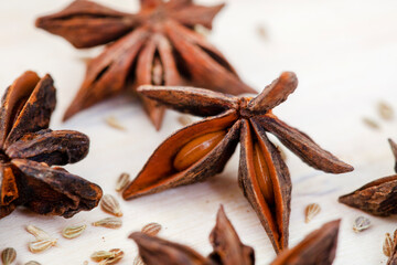 Selective focus of star aniseed in an abstract crop