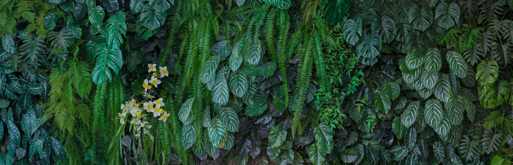 Green leaf background. Herb wall, plant wall, natural green wallpaper and background. nature wall. Nature background of green forest	