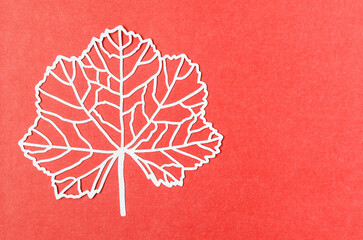 The carve of white paper leaves with empty space on a red colour cardboard background.