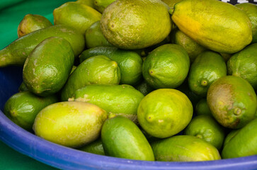 Close-up citrus × limon cv.