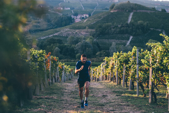 Man running in the countryside at the sunset