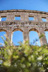 Fototapeta premium Vertical Pula Arena with Green Plant Foreground. Roman Amphitheatre with Blue Sky in Croatia during Summer Day in Europe.