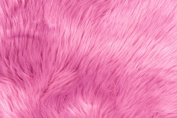 Pink fur texture top view. Pink sheepskin background. Fur pattern. Texture of pink shaggy fur. Wool texture. Sheep fur close up
