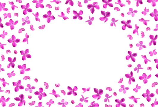 Floral pattern. Spring mockup. Purple lilac flowers isolated on white background. With clipping path. Creative floral background, elements for design, postcards, flower frame