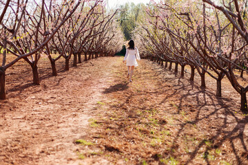 A young beautiful slender girl in a light short dress runs through a blooming peach garden on a sunny spring day. Spring background with a girl in flowering trees