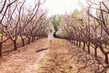 Obraz premium A young beautiful slender girl in a light short dress walks through a blooming peach garden on a sunny spring day. Spring background with a girl in flowering trees