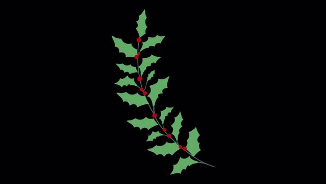 2D animated green Leaf with red bud icons Christmas decoration branch leaf. Elements for your design, Seamless holly leaf with flowers, spruce branches, leaves and berries. decoration icons.