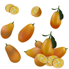 Set of kumquat isolated on transparent background. Fruit illustration PNG. Pictures of food and fruits